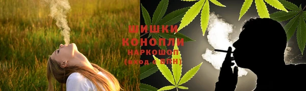крисы Абдулино