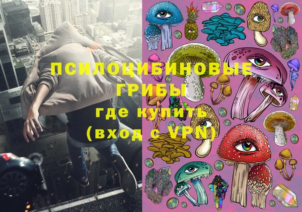 ГАЛЛЮЦИНОГЕННЫЕ ГРИБЫ Майский